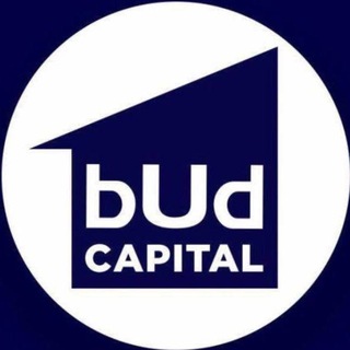 Іконка Telegram каналу Budcapital