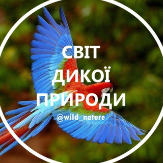 Іконка Telegram каналу Дика природа 🦏 | Краса світу 🏞