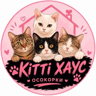 Іконка Telegram каналу KITTY_HOUSE_OSOKORKY😻Притулок для котиків Київ🫶🏼