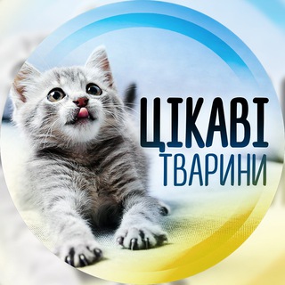 Іконка Telegram каналу Цікаві тварини ☃️