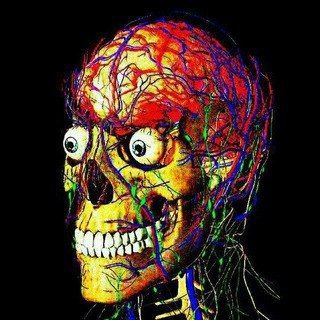 Іконка Telegram каналу 🤯 Вижити в Меді 👨‍⚕️💉