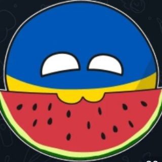 Іконка Telegram каналу Кіт Василь🍉