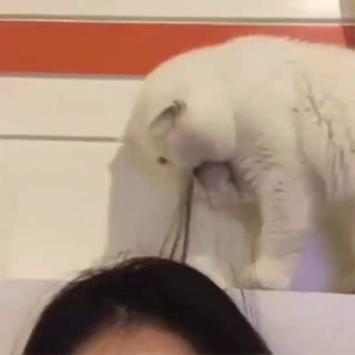 Іконка Telegram каналу Все окрім котиків (horny edition)