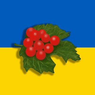 Іконка Telegram каналу ВГ - Червона Калина