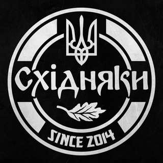 Іконка Telegram каналу Волонтерська група "Східняки"
