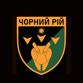 Іконка Telegram каналу 2 ББпС «Чорний рій»