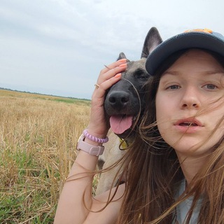 Іконка Telegram каналу RARI Dog Training