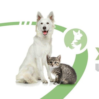 Іконка Telegram каналу ЗООВОЛОНТЕРИ ЧЕРНІГОВА🐱ДОПОМОГА ТВАРИНАМ🇺🇦 УКРАЇНА, ЧЕРНІГІВ