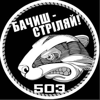 Іконка Telegram каналу 503_Борсуки