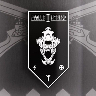 Іконка Telegram каналу 1 ASSAULT BATTALION