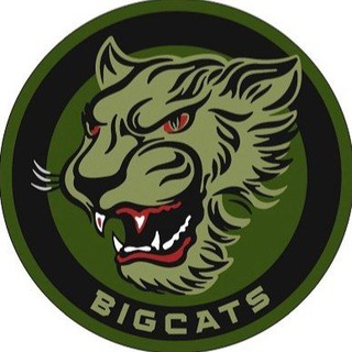 Іконка Telegram каналу BIGCATS.info