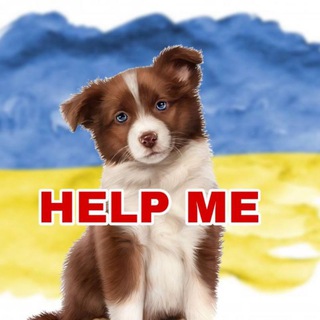 Іконка Telegram каналу 🆘🐾ANIMALS / Київ