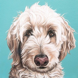 Іконка Telegram каналу 🐹 PETS | SUMY 🐶 ТВАРИНКИ | СУМИ 🐱