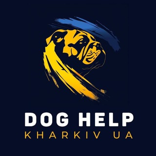 Іконка Telegram каналу Dog help Kharkiv UA