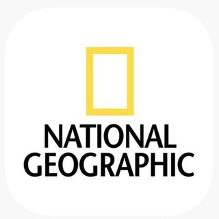 Іконка Telegram каналу National Geographic