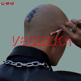 Іконка Telegram каналу VESELKA