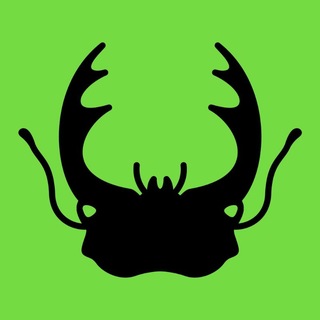 Іконка Telegram каналу ДніпроПуть 🌱