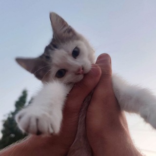 Іконка Telegram каналу Фото і нефото