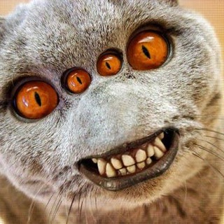 Іконка Telegram каналу Будем всех бамбить!