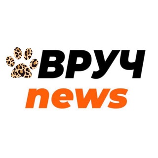 Іконка Telegram каналу OVRUCH NEWS