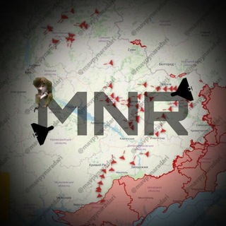 Іконка Telegram каналу MNR | Мавпи на радарі