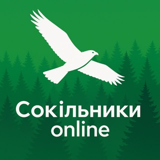 Іконка Telegram каналу Сокільники Online