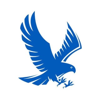 Іконка Telegram каналу СОКІЛЬНИКИ 24/7