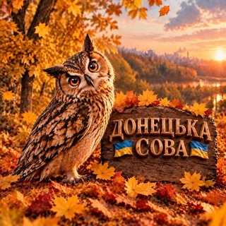 Іконка Telegram каналу 𓅓 Донецька Сова 𓅓