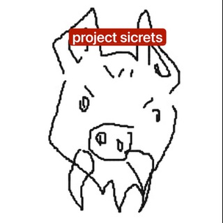 Іконка Telegram каналу project sicrets🤫🤫