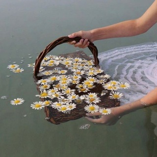 Іконка Telegram каналу Ескапізм✙