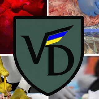 Іконка Telegram каналу Valkyrie docet