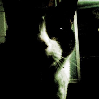 Іконка Telegram каналу H8H8LKVLT