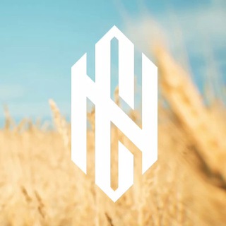 Іконка Telegram каналу CYBERNATION.TEAM | THREEDAYZ