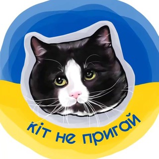 Іконка Telegram каналу кіт не пригай