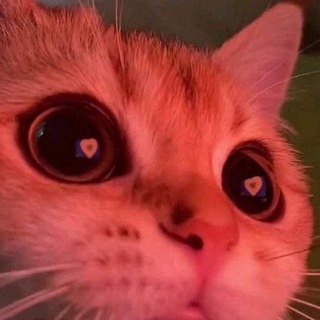 Іконка Telegram каналу Манікюр💋