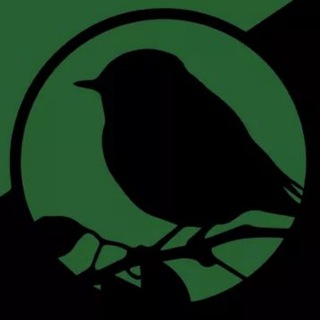 Іконка Telegram каналу Екологічна Платформа