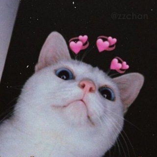 Іконка Telegram каналу love pictures 💞