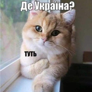 Іконка Telegram каналу Всратість головного мозку #УкрТґ