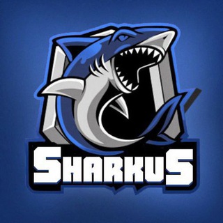 Іконка Telegram каналу SHARKUS