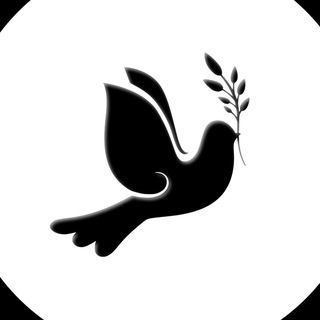 Іконка Telegram каналу 🕊️ Щоденник Волонтера
