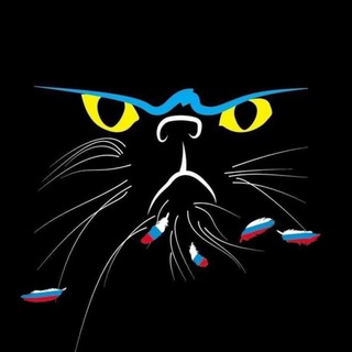 Іконка Telegram каналу МАРТівський кіт | Новини Миколаєва
