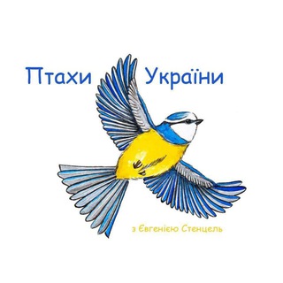 Іконка Telegram каналу Птахи України
