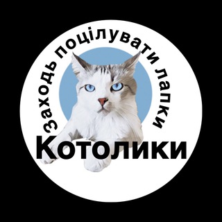 Іконка Telegram каналу Котолики
