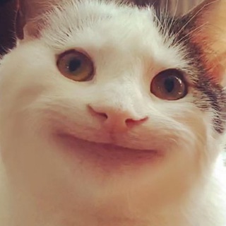 Іконка Telegram каналу ShittiestContent 🇺🇦| #УкрВайбер