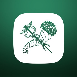 Іконка Telegram каналу DIGITAL KHARKIV