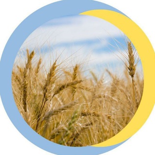 Іконка Telegram каналу Заявки Вермітор 🌾