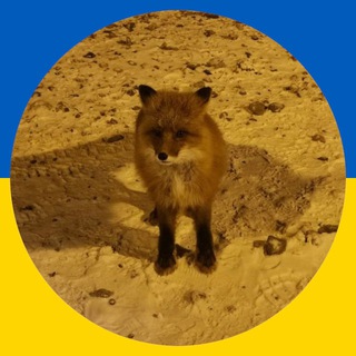 Іконка Telegram каналу Генератор кавунів
