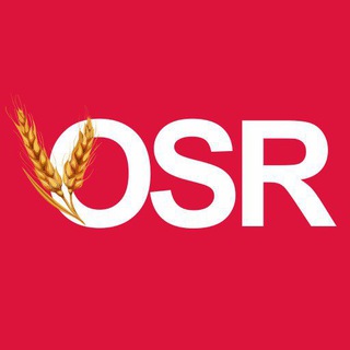 Іконка Telegram каналу OSR - Новини Кіровоградщини 🇺🇦
