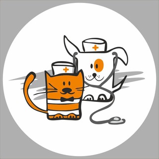 Іконка Telegram каналу Ветеринарний канал «Пес і Кіт» - територія турботи про здоров‘я улюбленців