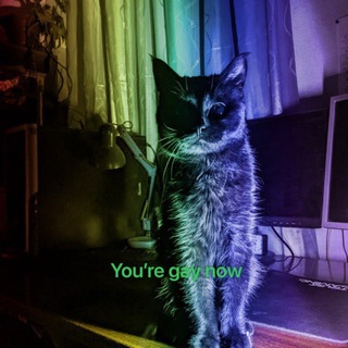 Іконка Telegram каналу 🏳️‍🌈🏳️‍⚧️Shpinat black cat | #УкрТґ